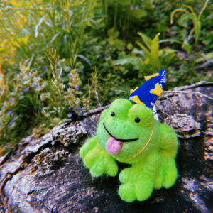 Cute & Spooky Needle Felt Friends