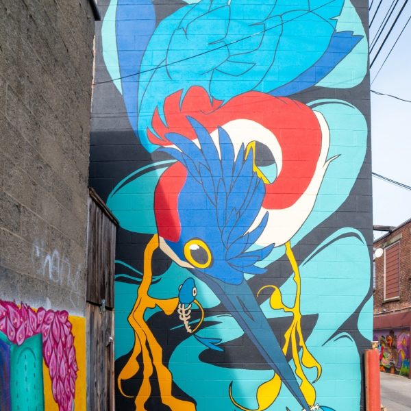 Elusive Dreamer Mural by Quill aka September Colors